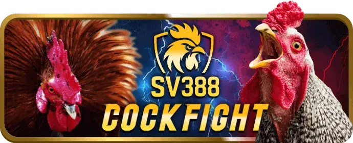 Ưu Đãi Đá Gà Man79